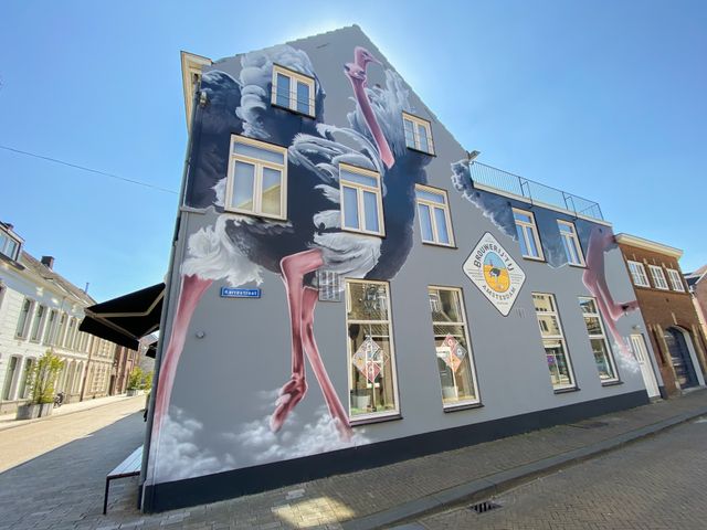 Struisvogels rijslust